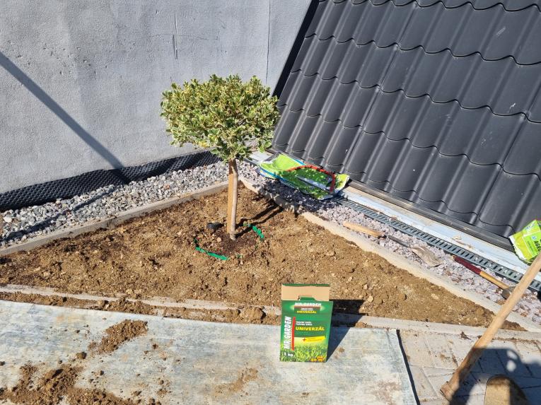 Priestor po&nbsp;rekonštrukcii